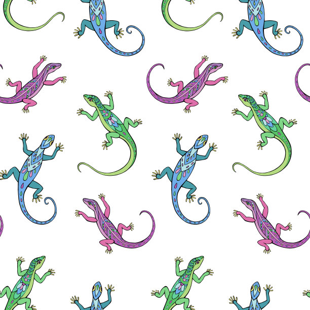 无缝矢量模式的蜥蜴。图片下载