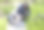 父亲和儿子正在修理一盏路灯。男孩帮助他的父亲。国际父亲节的概念。图片下载