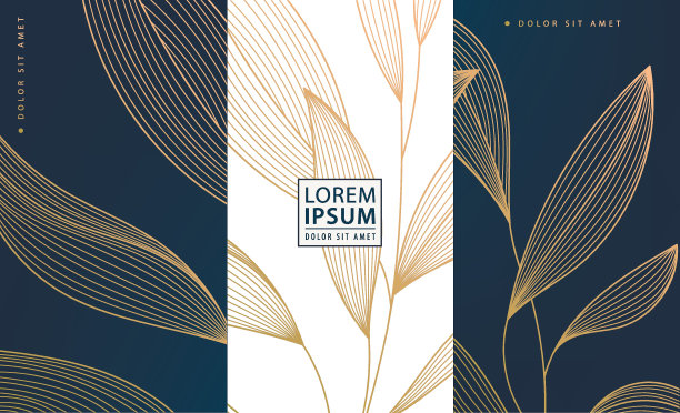 集矢量集合设计元素:标签、镜框、婚礼请柬、社交网故事、包装、奢侈品、香水、香皂、葡萄酒、乳液。金色的叶子，装饰艺术图片下载