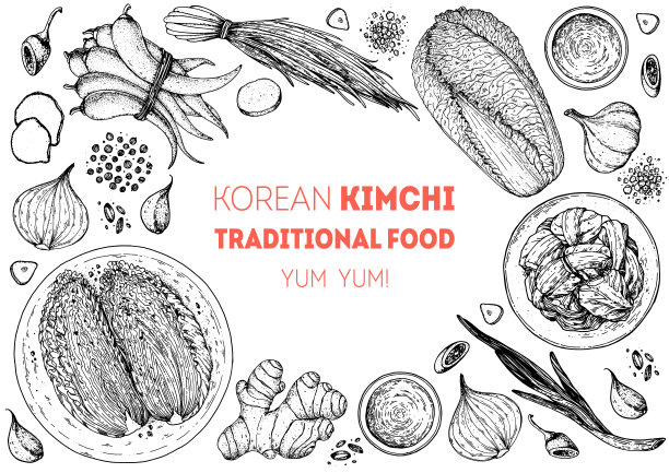 泡菜烹饪及泡菜配料，素描插图。韩国菜。健康食品，设计元素。手绘、包装设计。亚洲食物图片下载