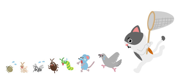 猫追逐和捕捉害虫图片下载