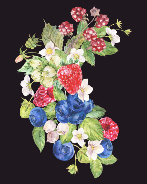 水彩夏天浆果贺卡。水果，草莓，蓝莓孤立在黑色背景。手绘植物插图。图片下载