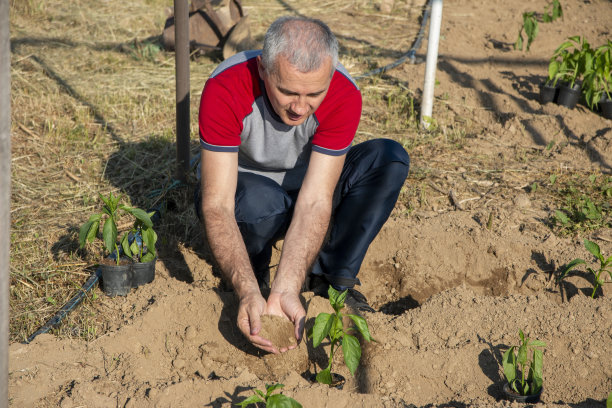 农民在播种季节工作。图片下载