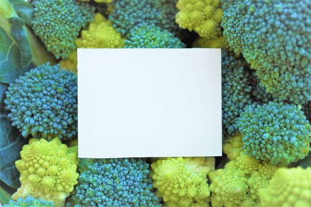 一个简单的标题框架模型，背景是绿色的西兰花和黄绿色的罗马esco图片下载