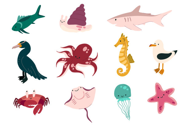 可爱的海洋动物，水下的海洋生物。小朋友卡通章鱼、螃蟹、信天翁、鸬鹚、鲨鱼、鱼、水母、海星、海马、黄貂鱼、蜗牛。矢量插图在白色背景图片下载