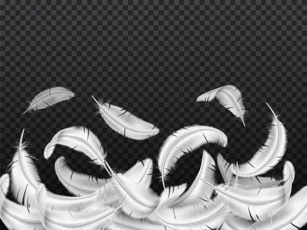 白色羽毛的背景。逼真的飞行毛绒羽毛。3D掉落的鸟类羽毛。光孤立的对象。小鸟或天使的翅膀。鸽子或天鹅羽边。向量的概念图片下载