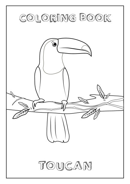 涂色书巨嘴鸟为孩子准备打印图片下载