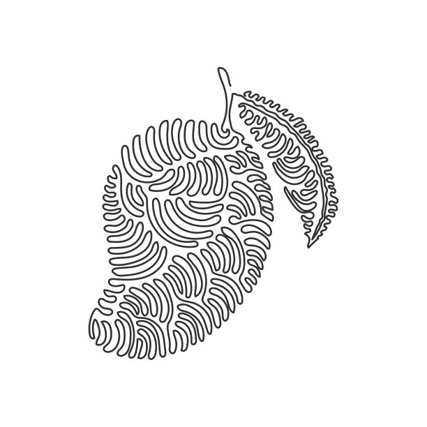 单线画健康有机芒果图片下载