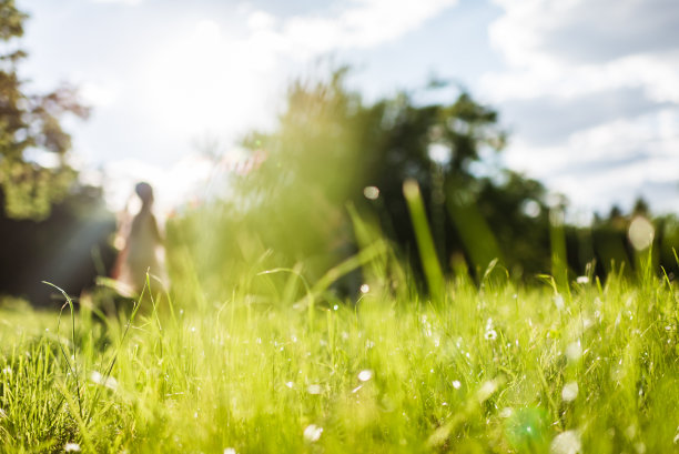 模糊的性质图片下载