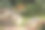 花园座位在岩石花园与苏铁图片下载