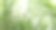 抽象束绿草孤立在白色背景。图片下载