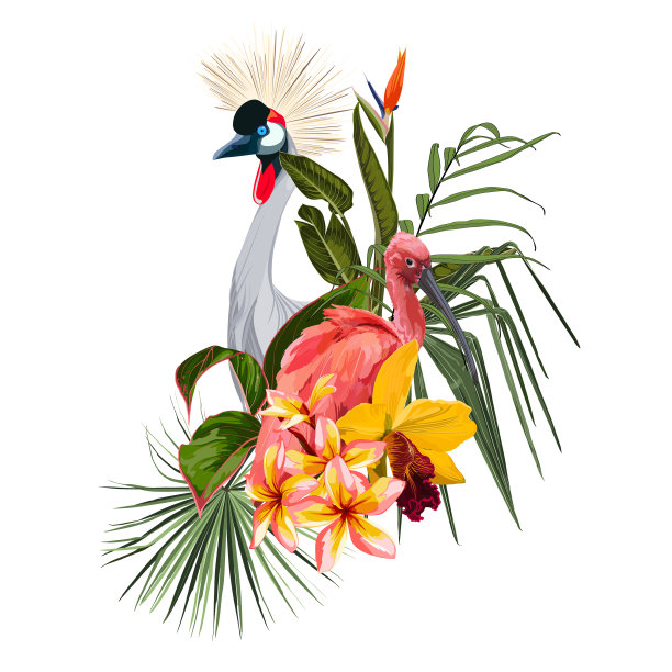 热带花束与鸟和花图片下载