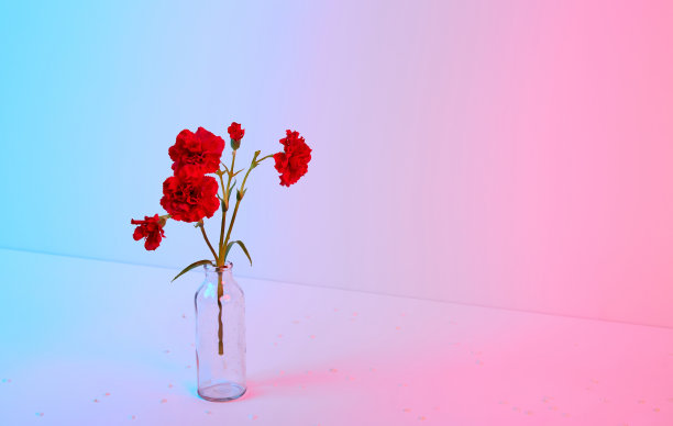 红色康乃馨花束，玻璃花瓶，粉红色和蓝色背景。副本的空间。花朵图案。空的文本。的名片。阵亡将士纪念日。极简主义。快乐的庆祝活动。节日装饰。概念图片下载