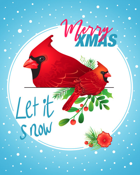 冬天的鸟图片下载