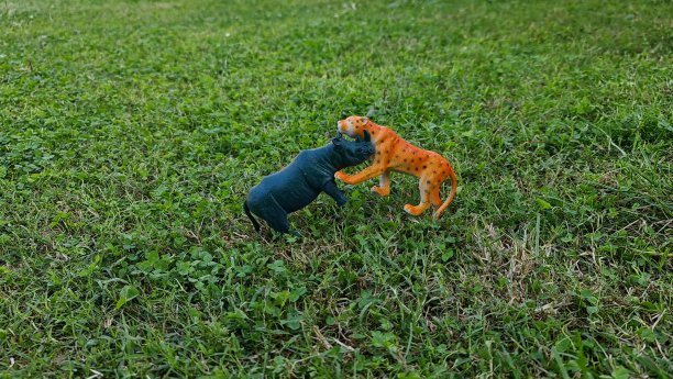 动物玩具被背景隔离。图片下载
