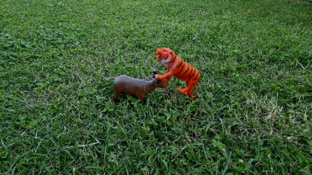 动物玩具被背景隔离。图片下载