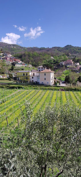 风景在利古里亚，旅游在意大利图片下载