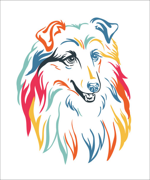 柯利犬彩色轮廓画像图片下载
