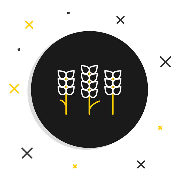 米粒，小麦，玉米，燕麦，黑麦图片下载