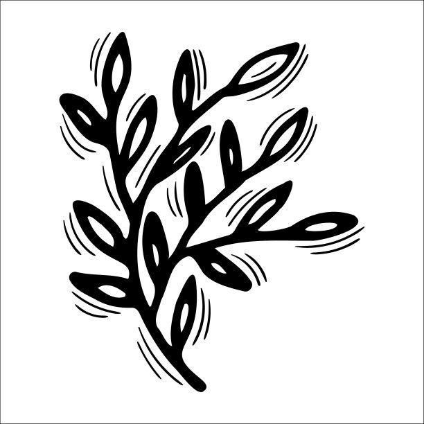 手绘花卉元素。用树叶勾勒树枝。装饰元素为您的设计图片下载