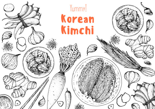 泡菜烹饪及泡菜配料，素描插图。韩国菜。健康食品，设计元素。手绘、包装设计。亚洲食物图片下载