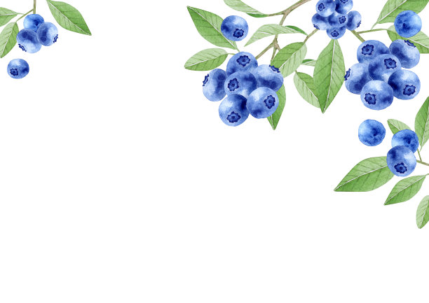 水彩蓝莓背景框图片下载
