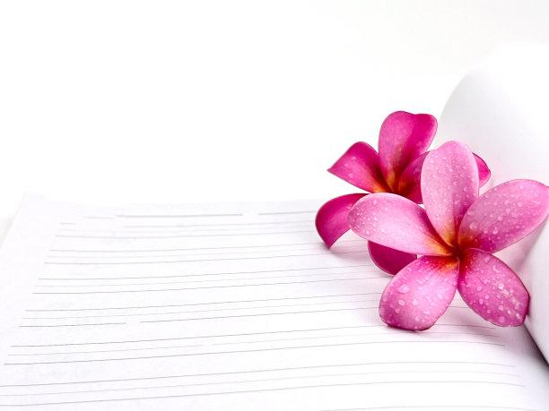 两颗粉红色的鸡蛋花水滴放在日记本旁边作为卡片的剪贴路径图片下载