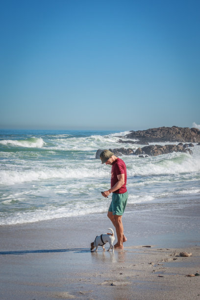 白人男子与杰克罗素梗狗在沙滩上玩耍，开普敦，南非图片下载