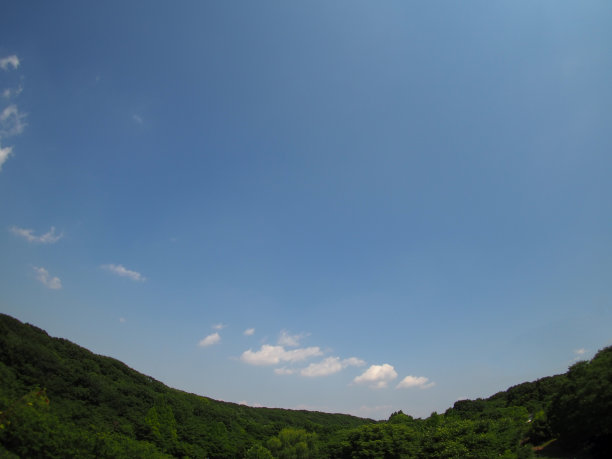 初夏碧绿的天空图片下载