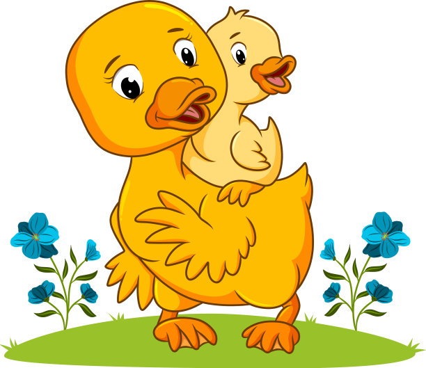 鸭妈妈正在和鸭子玩图片下载