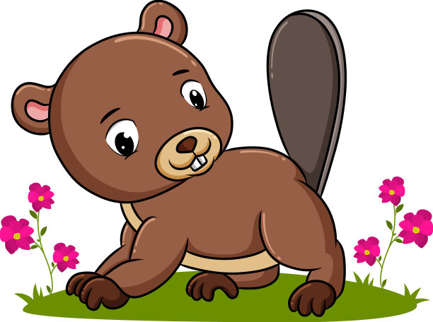 海狸高兴地在花园里玩耍图片下载