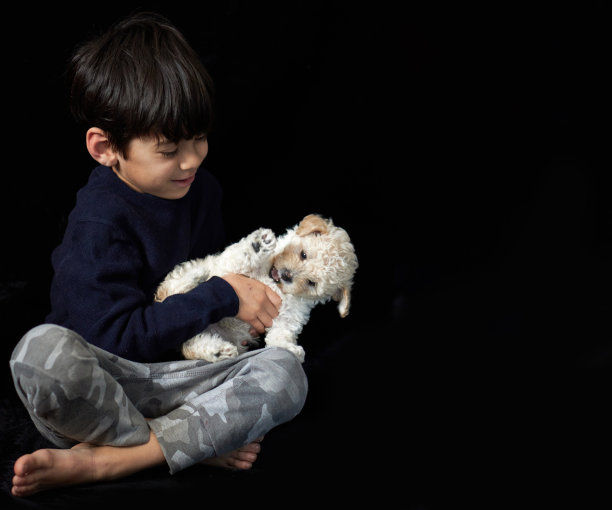 光脚的棕发小男孩坐在地板上和他的狮子狗狗在工作室里玩，淡杏色。水平，黑色背景，复制空间图片下载