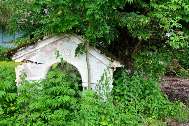 被遗弃的豪宅的杂草丛生的废墟，阿布哈兹图片下载