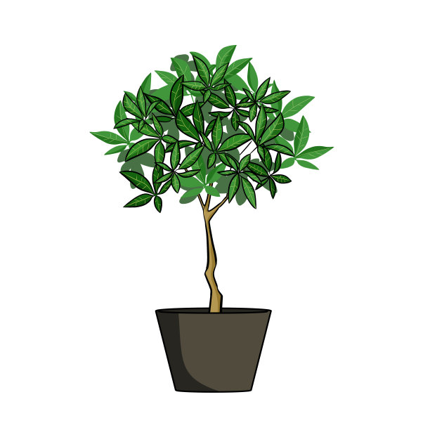 观叶植物图片下载