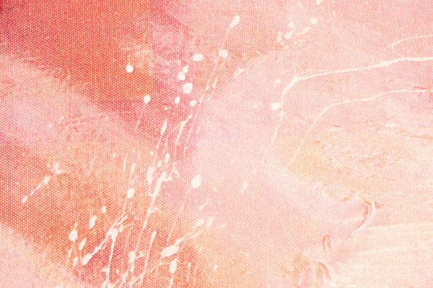 抽象艺术背景淡粉色。画布上的水彩画与玫瑰梯度。片段的艺术品图片下载