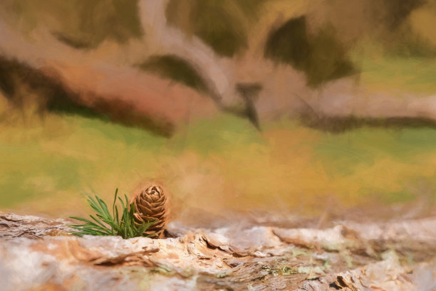 数码绘画的年轻针叶树松果芽孤立在自然环境。图片下载