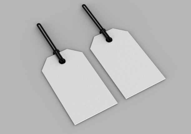 白色空白标签与灰色背景系线。价格标签为图形设计师演示和组合的品牌标识模拟模板。3 d渲染。图片下载