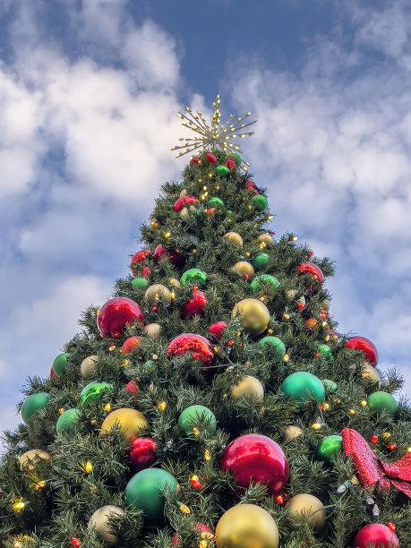 在镇中心的圣诞树图片下载