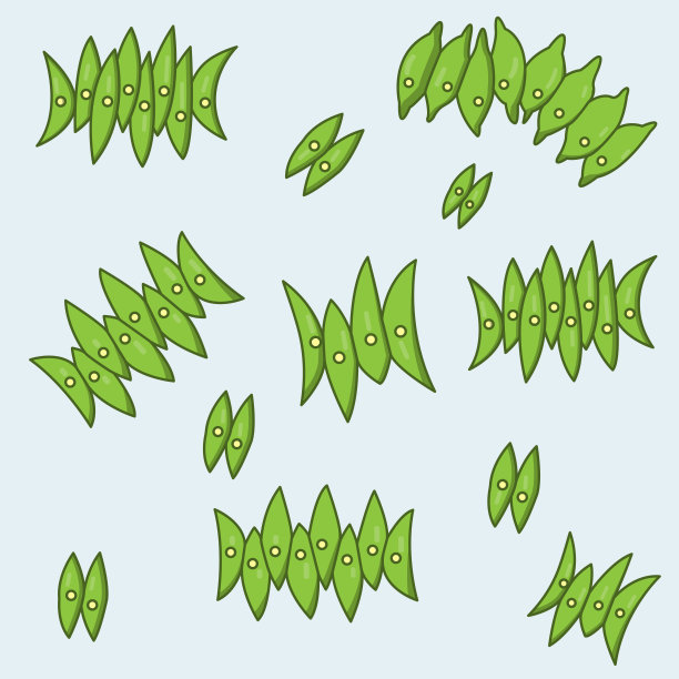 Acutodesmus自行火炮图片下载