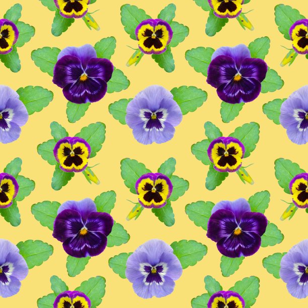 明亮的印花，紫丁香紫紫色的花朵与绿叶，植物无缝的方形图案图片下载