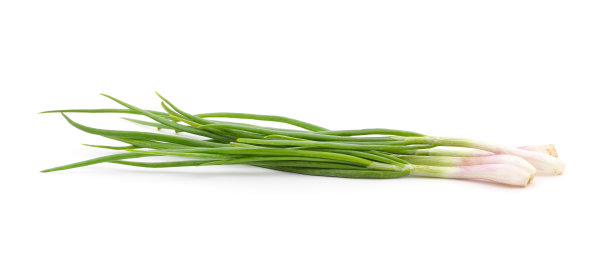 葱的叶子。图片下载
