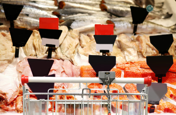 超市里的鲜鱼海鲜。在超市挑选乳制品。空无一人的超市里的空购物车图片下载