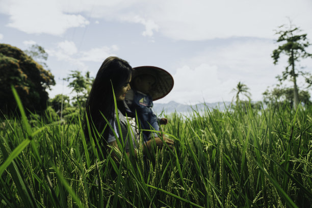 一个成年妇女和一个蹒跚学步的孩子，一对母子在稻田里图片下载