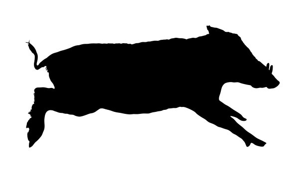 疣猪轮廓孤立图片下载