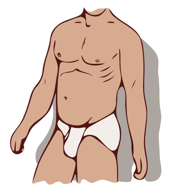 穿着三角裤的男性躯干图片下载