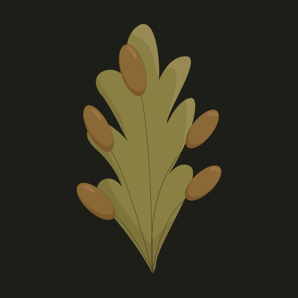 以绿叶和棕色叶为代表的植物图片下载