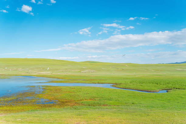蜿蜒的河流和草地。图片摄于中国新疆巴音布鲁克草原。图片下载