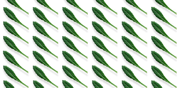 羽衣甘蓝叶片图案图片下载