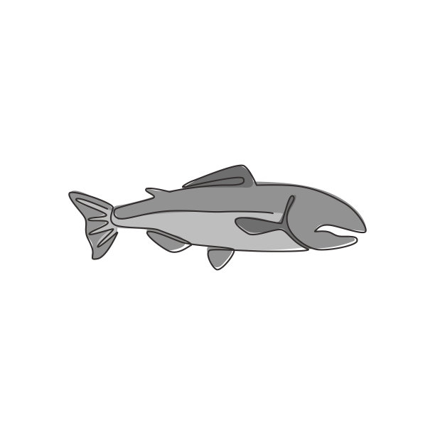 大马哈鱼单线连续绘制图片下载