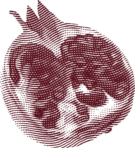 镌刻石榴果概念图片下载